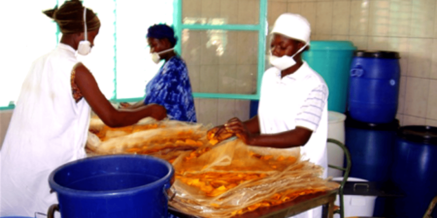 L&rsquo;industrie agro-alimentaire africaine frémit